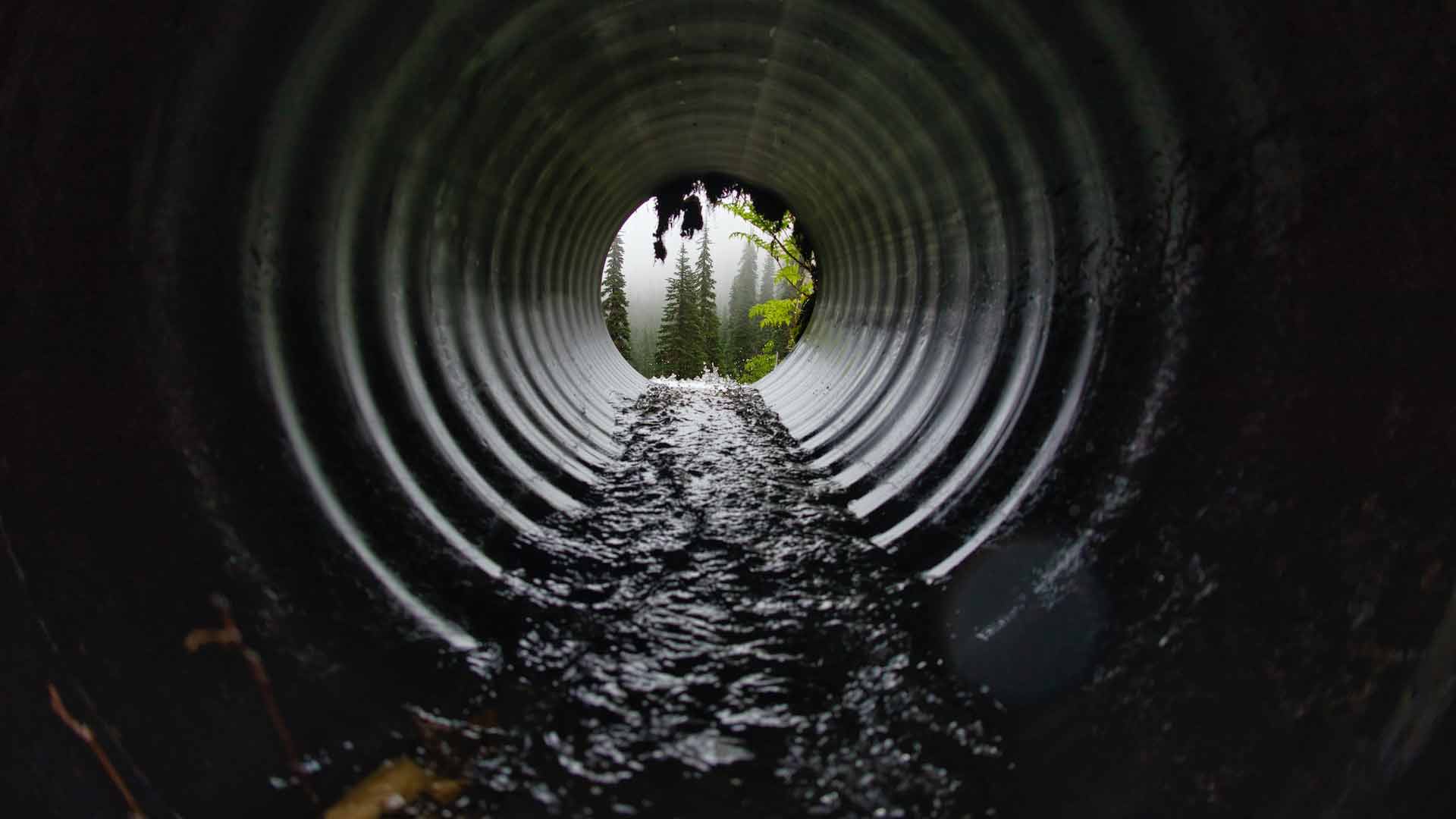 How Often Should Sewer Lines Be Cleaned